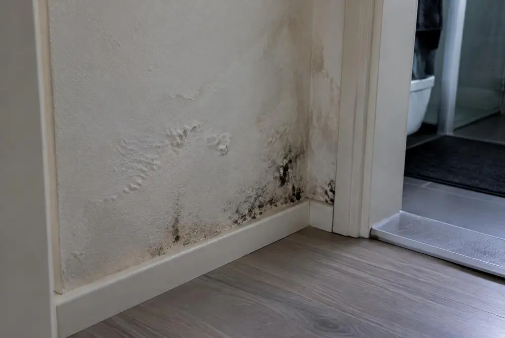 Lekdetectie Woerden – vochtplek met schimmel op een muur